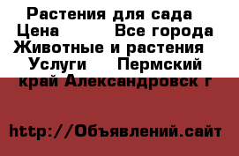 Растения для сада › Цена ­ 200 - Все города Животные и растения » Услуги   . Пермский край,Александровск г.